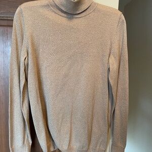 Talbots Sparkly Turtleneck sweater